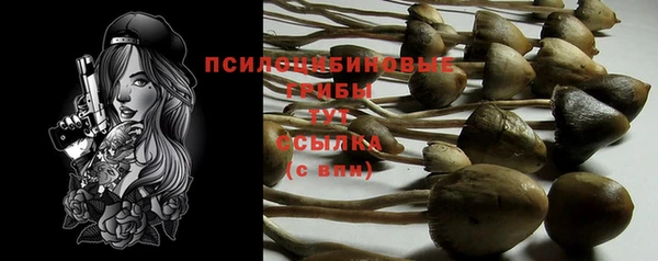 кокаин премиум Белокуриха