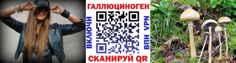 Псилоцибиновые грибы мухоморы  Кремёнки 
